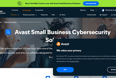 Avast Business Antivirus Pro