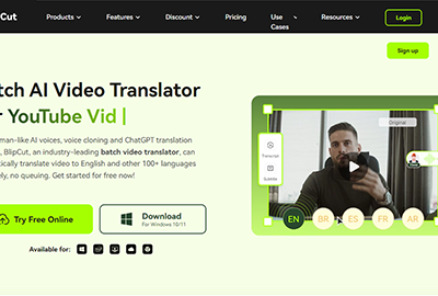 BlipCut AI Video Translator