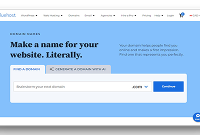 Bluehost Domain Search