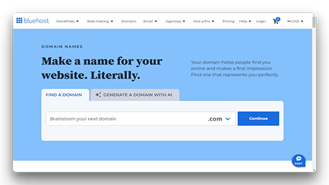 Bluehost Domain Search