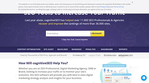 CognitiveSEO