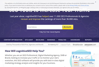 CognitiveSEO