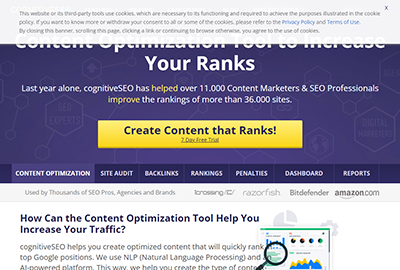 CognitiveSEO Content Optimization