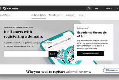 GoDaddy Domain Name Search