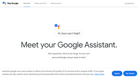 Google Assistant