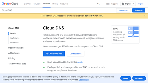 Google Cloud DNS Domain Search