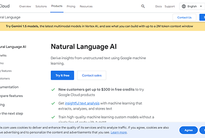 Google Cloud Natural Language