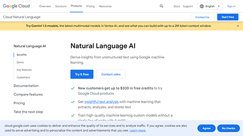 Google Cloud Natural Language