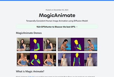 MagicAnimate Playground