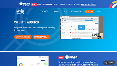 Raventools Site Auditor