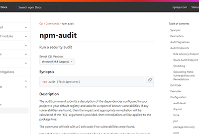 npm audit