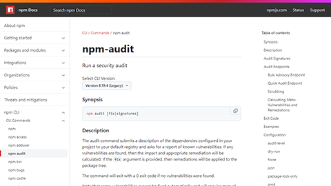 npm audit