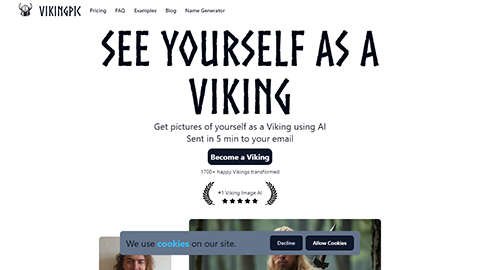 VikingPic