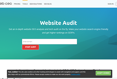 WebCEO Site Audit