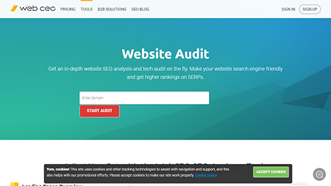 WebCEO Site Audit